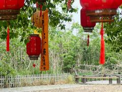 -同里国家湿地公园