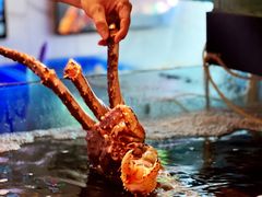 大堂-蟹之国·精品蟹料理(极地店)