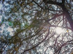 -阳台山自然风景区