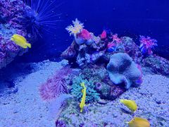 -成都浩海立方海洋公园