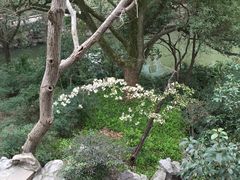 -汇龙潭