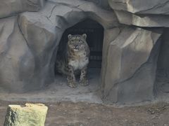 -青藏高原野生动物园