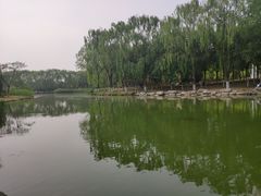 -大兴滨河森林公园