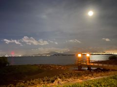 -深圳湾公园(南山区)