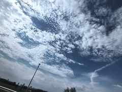 -日照海滨国家森林公园