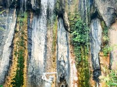 -西双版纳原始森林公园