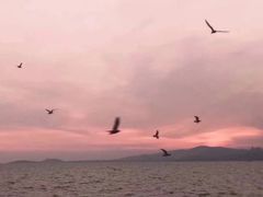 -碧桂园十里银滩