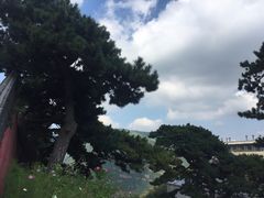 -妙峰山风景名胜区