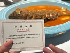 -阿五黄河大鲤鱼(纬三路店)