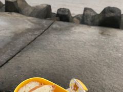 -奉贤海滩