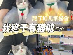 -lincat·猫舍(广州店)
