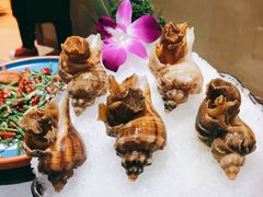 -金龙·打边炉(武进路店)
