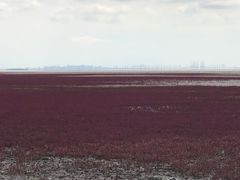 -盘锦红海温泉乐园