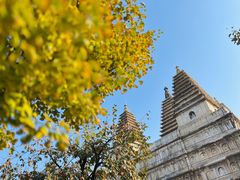 -北京石刻艺术博物馆(五塔寺)