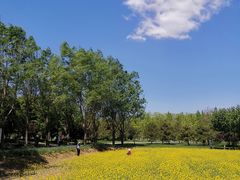 -北坞公园