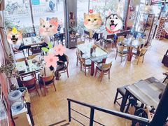 -萨尔瓦多Salvador's