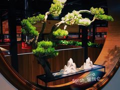 -山之屋炭火烧肉·生啤畅饮(大朗万科中央公园店)