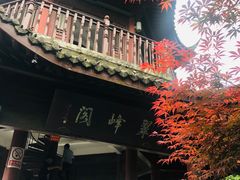 -杭州半山国家森林公园