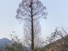 -崂山九水游览区