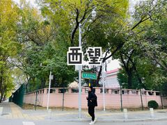 -三里屯东五街银杏大道