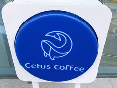 -Cetus coffee鲸鱼座咖啡·拼豆(二仙桥公园店)