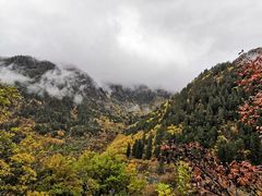 -苏州香山国际大酒店