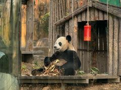 -大连森林动物园