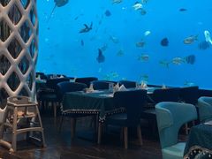 -瑞德姆美人鱼海底演艺主题餐厅(亚龙湾店)