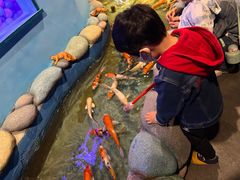 -常州海昌海洋探索馆