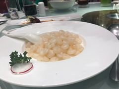 清炒野生河虾仁-圆苑(上海广场店)