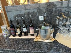 -虹桥机场国航贵宾室v8