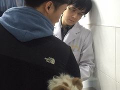 -北京赛佳动物医院