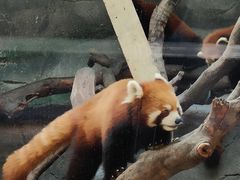 -武汉动物园