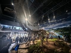 -自贡恐龙博物馆