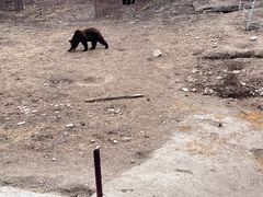 -哈尔滨北方森林动物园