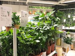 -宜家家居（上海徐汇商场店）-停车场