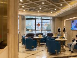 点击看大图 -碧莲盛·不剃发植发