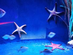 -沈阳海洋探索中心