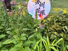 -苏州上方山国家森林公园
