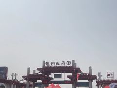-曹州牡丹园