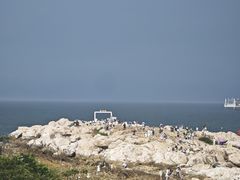 -养马岛旅游度假区