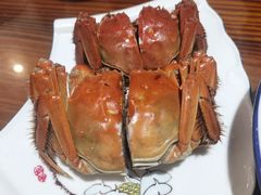 -呼吸森林·生态农庄农家乐私房菜