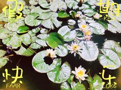 -东湖公园