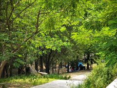 -白水寺森林公园