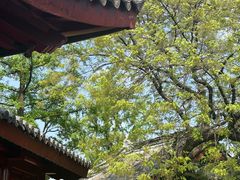 -北极阁公园