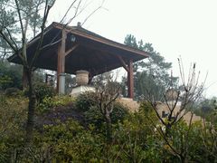 android_upload_pic-天目湖涵田度假村