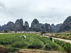 -钟山水墨田园