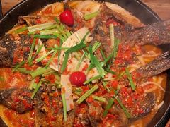 -老板恋上鱼(振华商厦店)