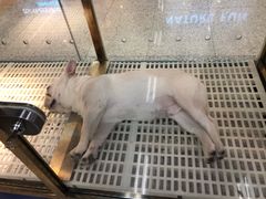 -乐宠宠物店(世纪金源店)