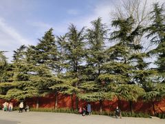 -洛阳白马寺